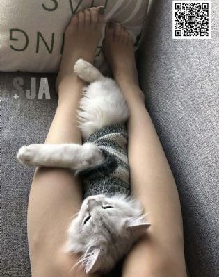 www.妈妈的朋友_1080P免费电视剧