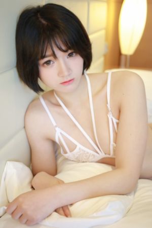 厂花 电视剧_BD英语高清视频播放