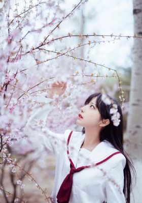 细狗网页版_蓝光免费观看超清