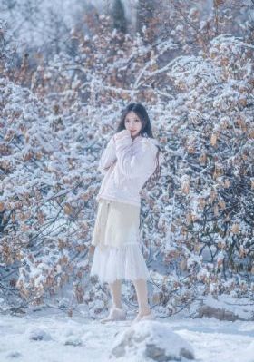 七彩西游记在线_DVD免费全集观看